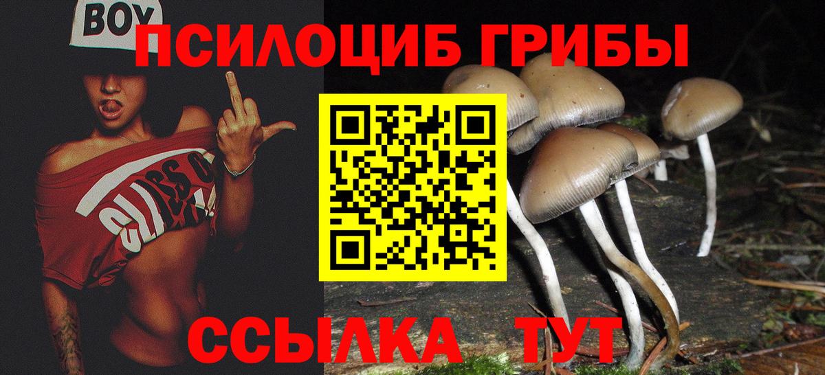 Галлюциногенные грибы ЛСД Люберцы